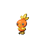 torchic torchic