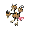dodrio dodrio